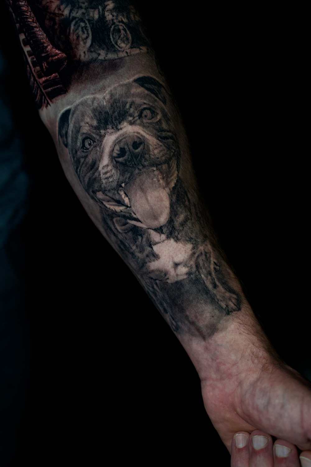 Animal Tattoo